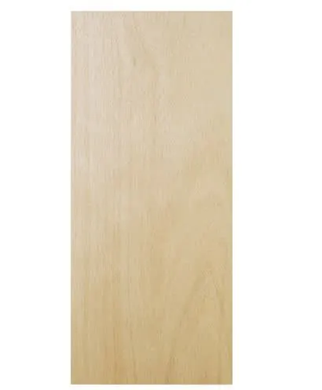 Natural birch flush interior door