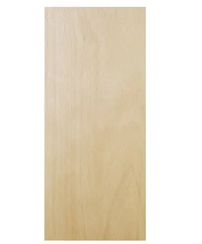 Natural birch flush door — wood grain varies